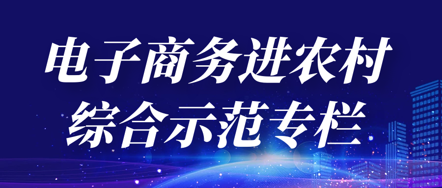 電子商務進農村